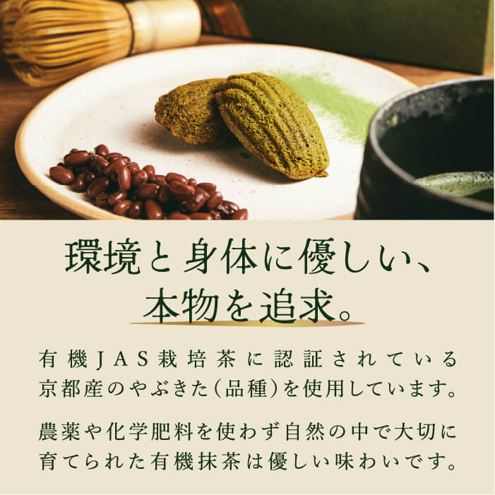 抹茶マドレーヌ
